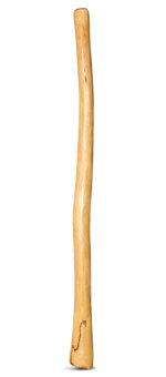 Medium Size Natural Finish Didgeridoo (TW556)
